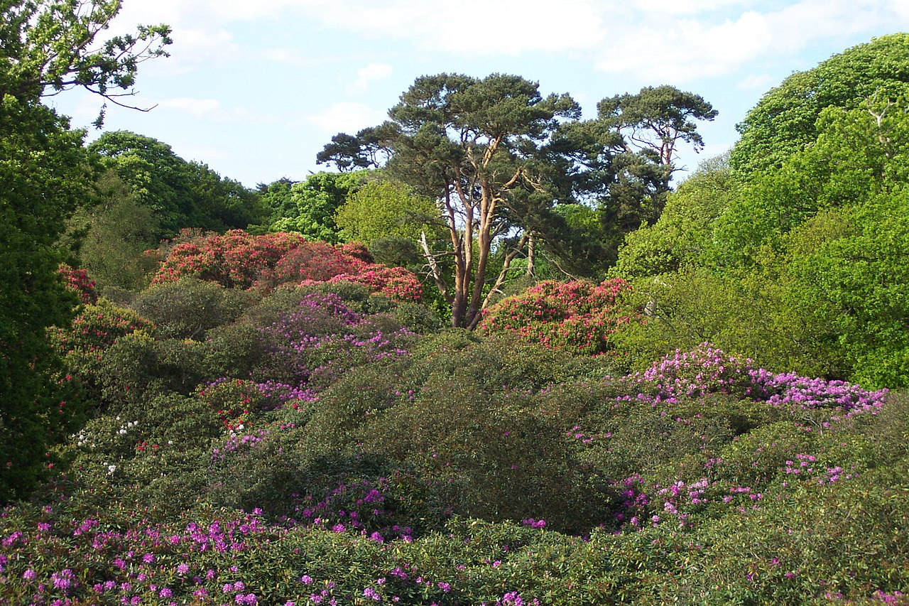 Sheringham Park